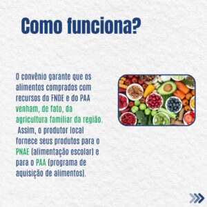como funciona