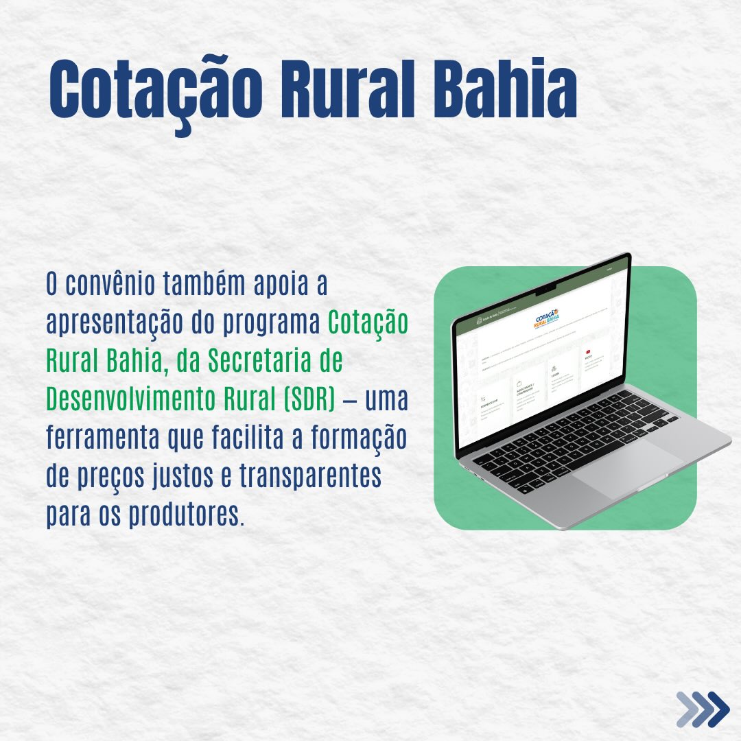 cotação rural Bahia