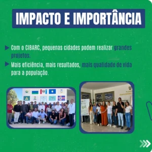 impacto e importancia